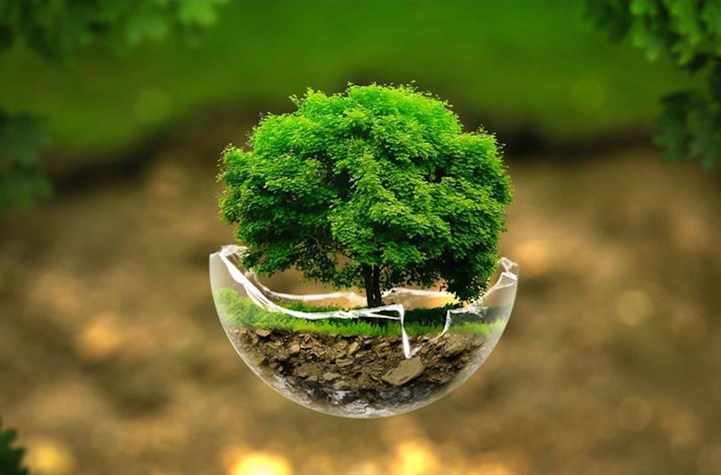 世界地球日 | 芬德格林节能门窗——呵护地球和家人