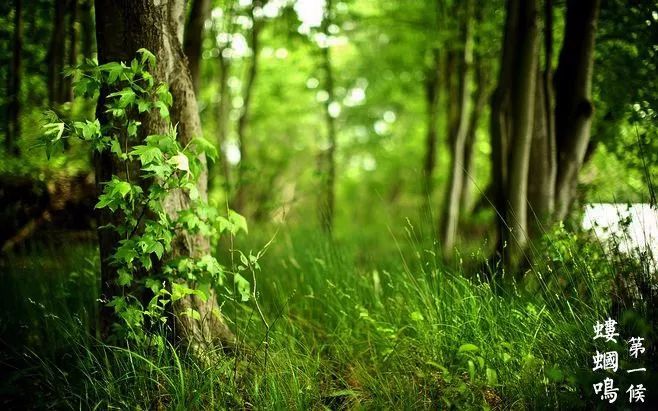 立夏 | 夏之始也，您准备好隔热、隔音、防蚊虫的门窗了吗？