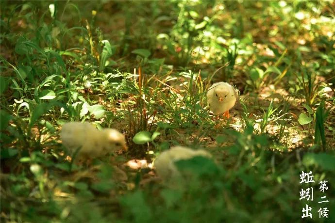 立夏 | 夏之始也，您准备好隔热、隔音、防蚊虫的门窗了吗？