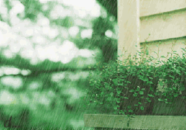 一言不合就暴雨，你家门窗扛得住吗？