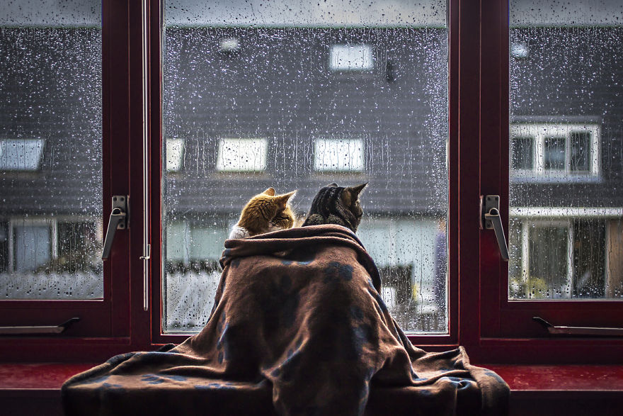 一言不合就暴雨，你家门窗扛得住吗？