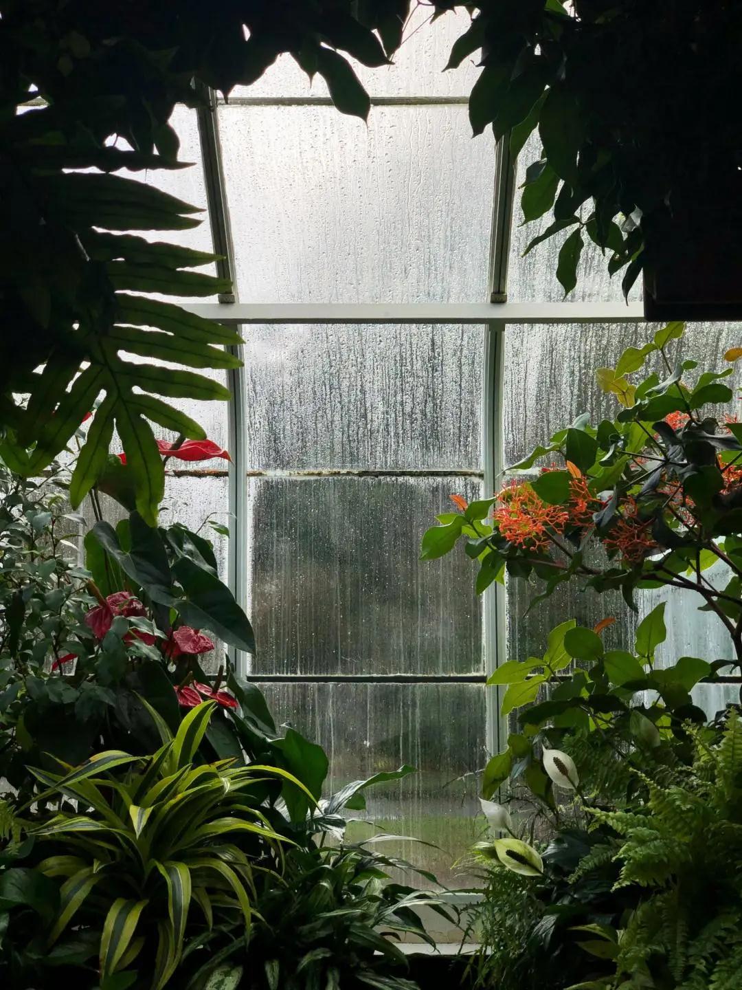 今夏暴雨凶猛！怎么让阳光房摆脱漏水困扰？