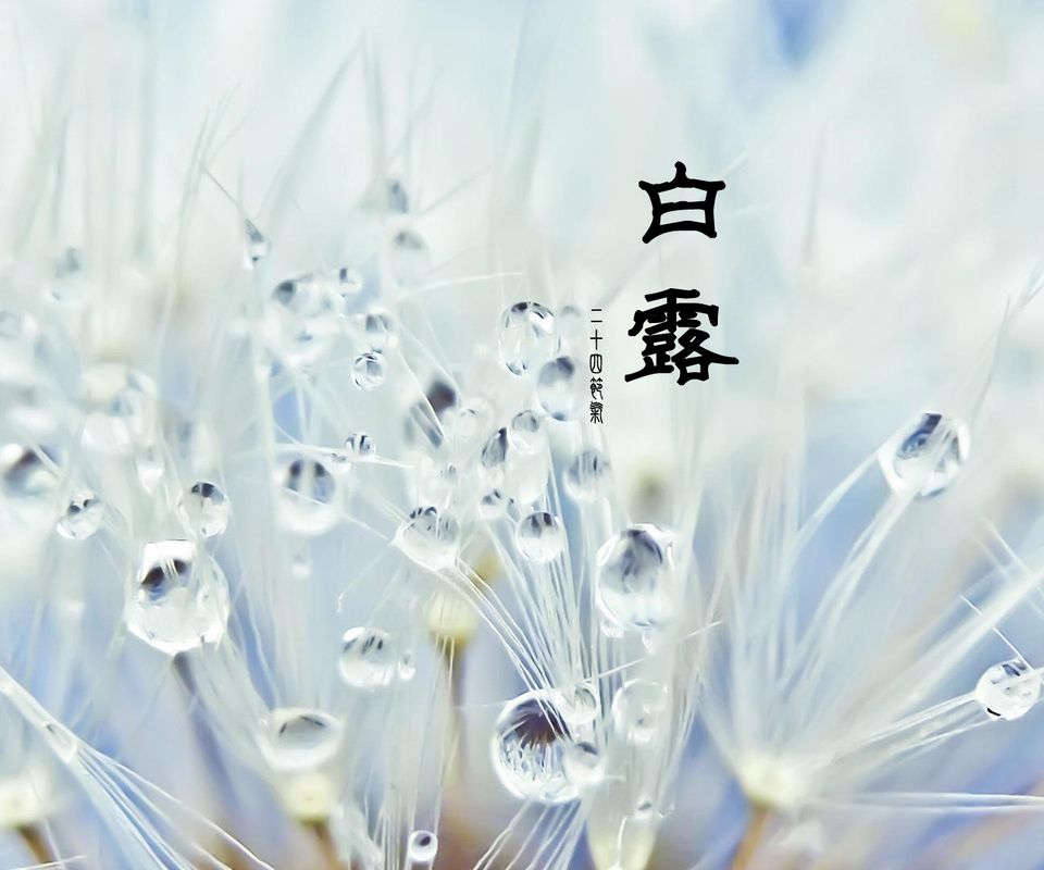 今日白露 | 秋声里，中式门窗，目光所及皆是风景！