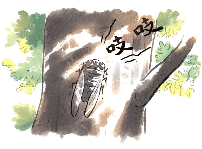 还在羡慕别人的别墅吗？您的自建房和别墅，只差一套断桥铝门窗！