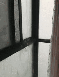 春雨绵绵漏不停，家里的门窗老是渗漏怎么办？
