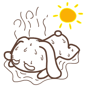 五一买门窗，千万别忘了带攻略！教省下三十年烦恼！