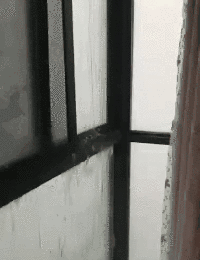 家中门窗渗水漏水，到底是什么原因？有什么解决方案？