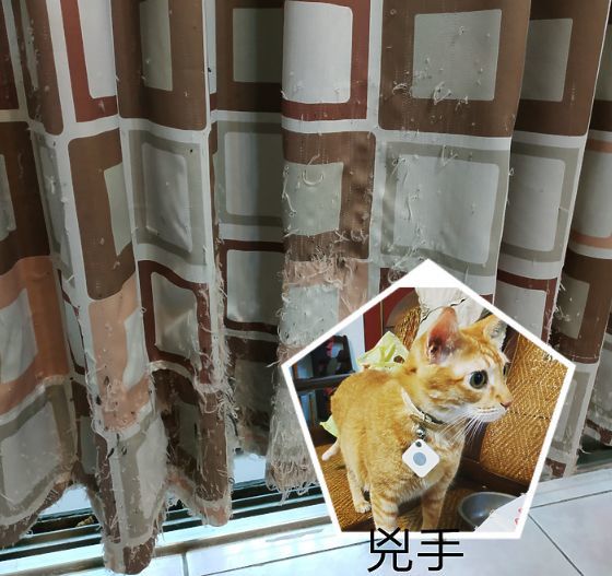 遮阳神器「中空内置百叶」为什么那么受欢迎？到底值不值得安装？