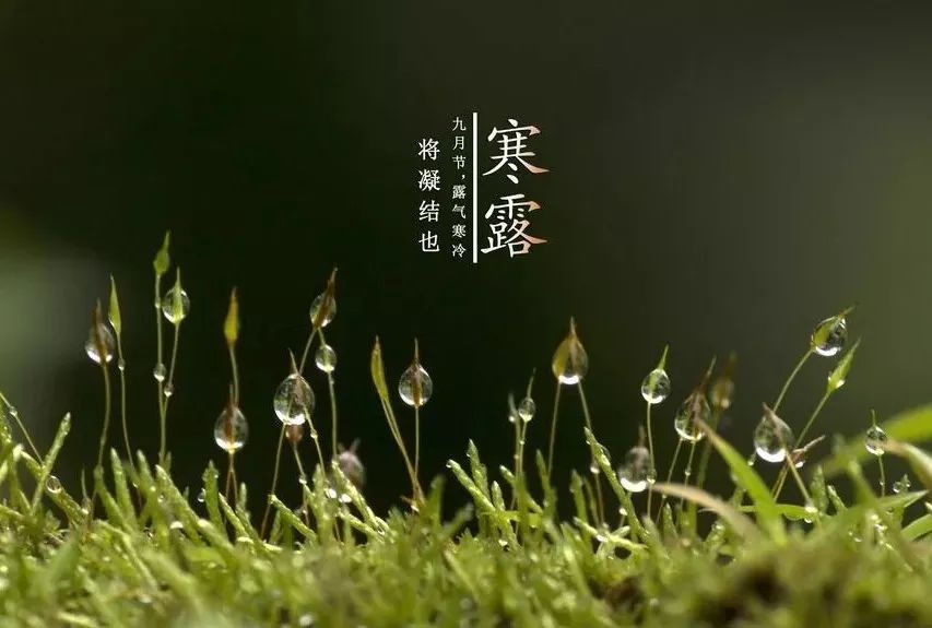 寒露｜冷空气来袭，您的保暖门窗准备好了吗？