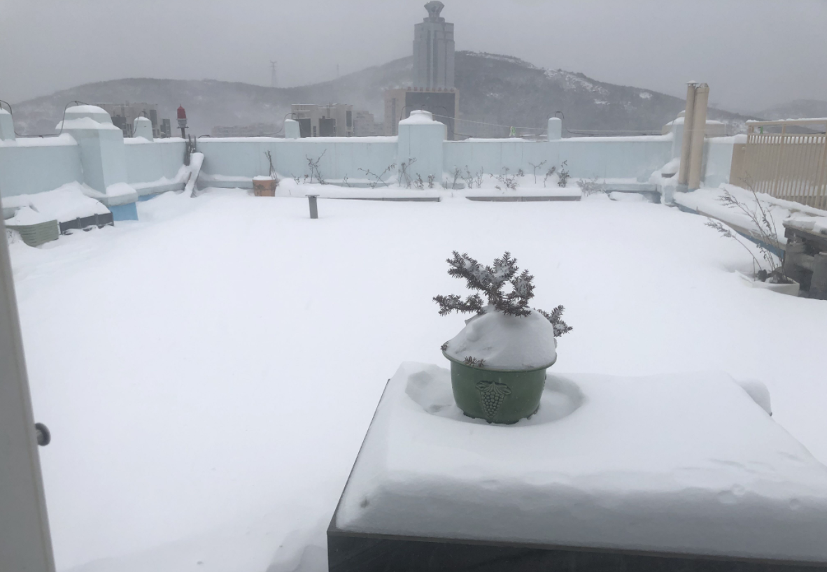 露台门窗设计指南，帮您打造私人后花园，颜值高、舒适度满分！