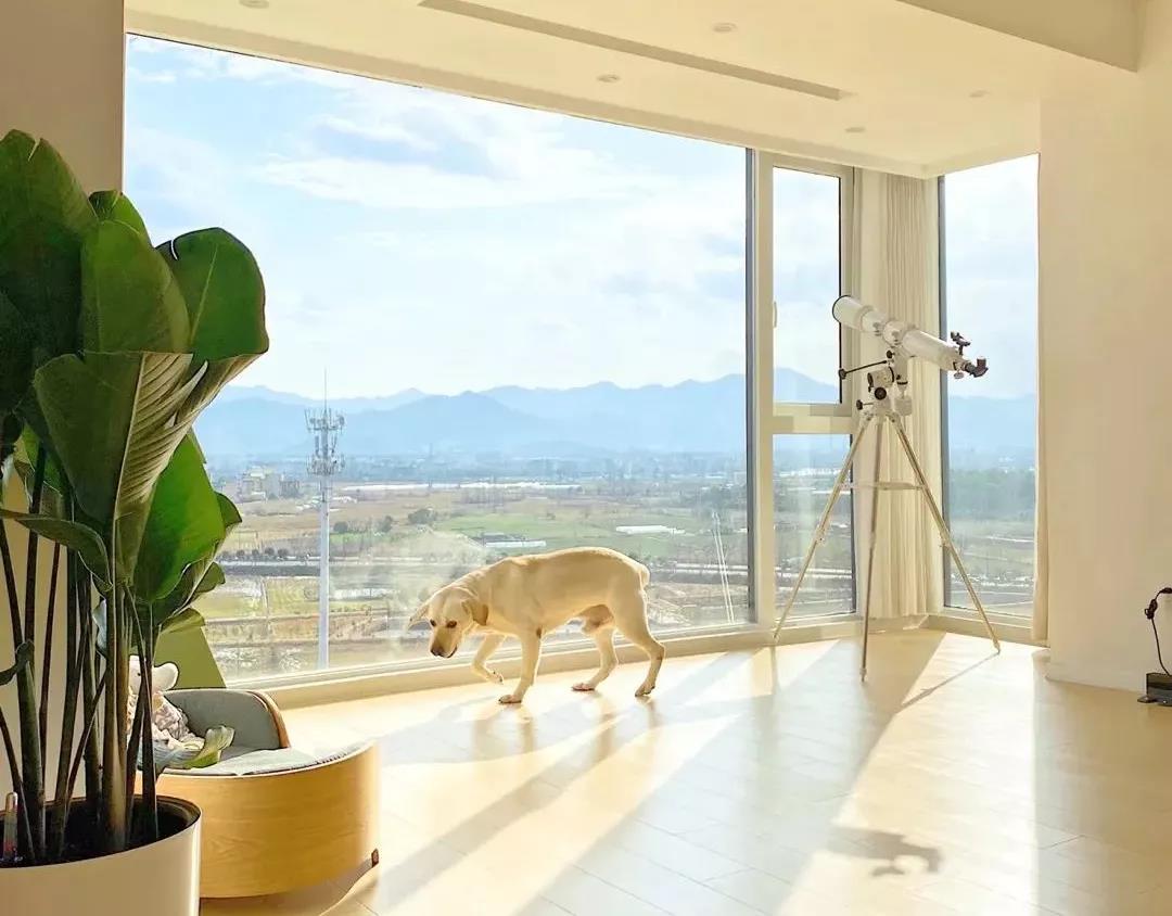 豪宅 + 超大落地窗 = 理想生活！观景于家，揽境入室！