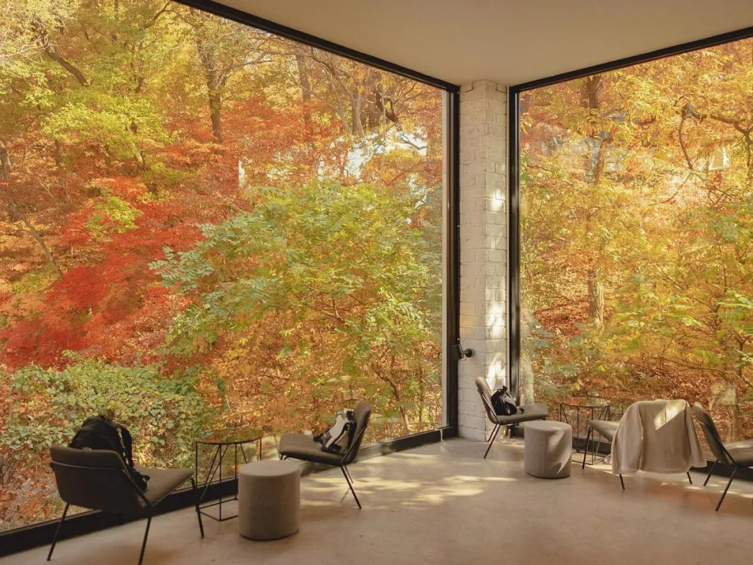 神仙居所！实在难以拒绝爱上拥有大落地窗的房子！