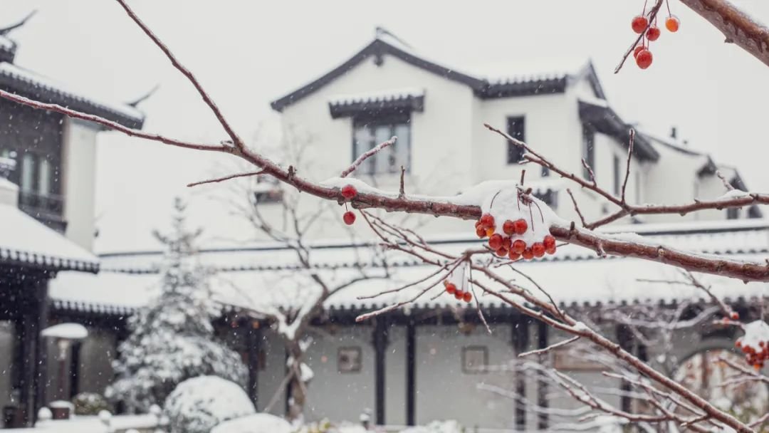 一隅中式古窗，与雪景绝美相融，咫尺间有数不尽的惊喜和诗意~
